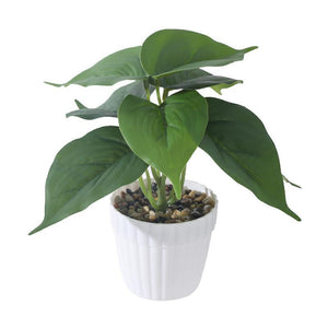 Soft Rubber Artificial Plants with Decorative Pots